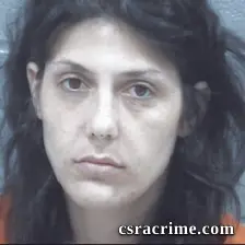 Sarah Beamer booking photo