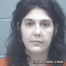 Sarah Beamer booking photo