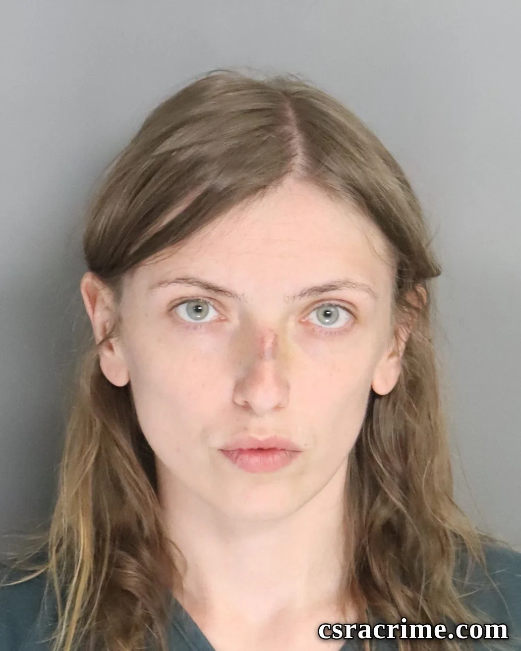 Sarah Davidson booking photo
