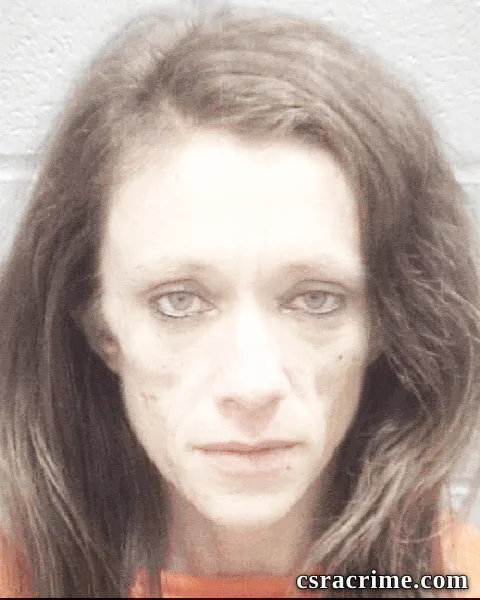 Sarah Payne booking photo
