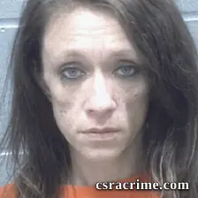 Sarah Payne booking photo