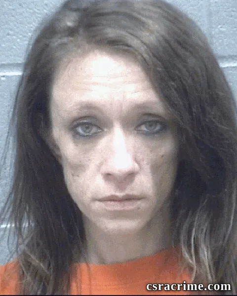 Sarah Payne booking photo
