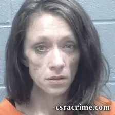 Sarah Payne booking photo