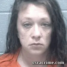 Sarah Payne booking photo