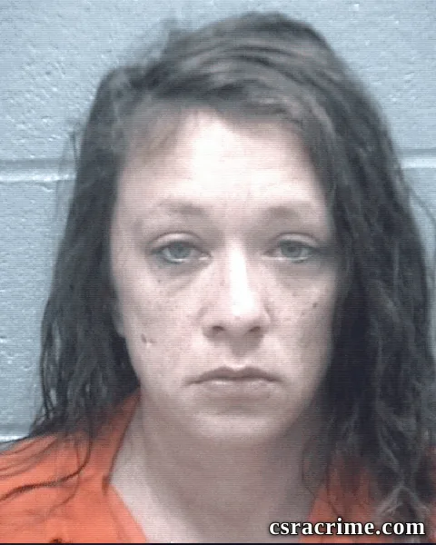 Sarah Payne booking photo