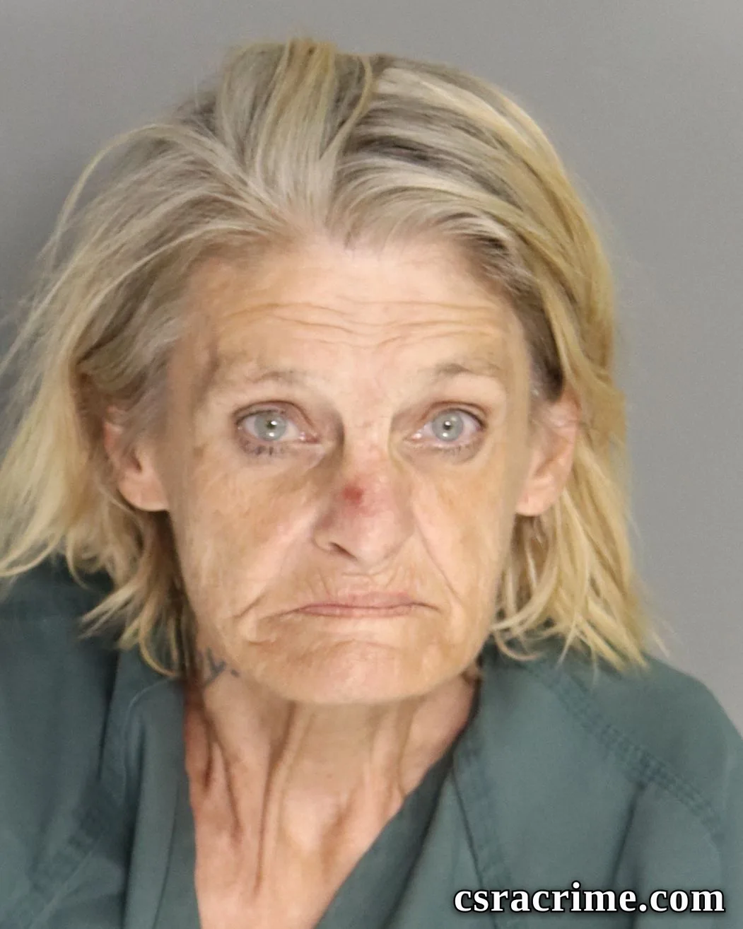 Sarah Plaster booking photo