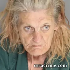 Sarah Plaster booking photo