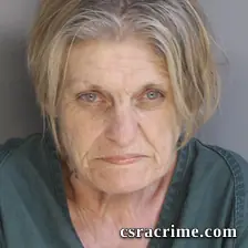Sarah Plaster booking photo