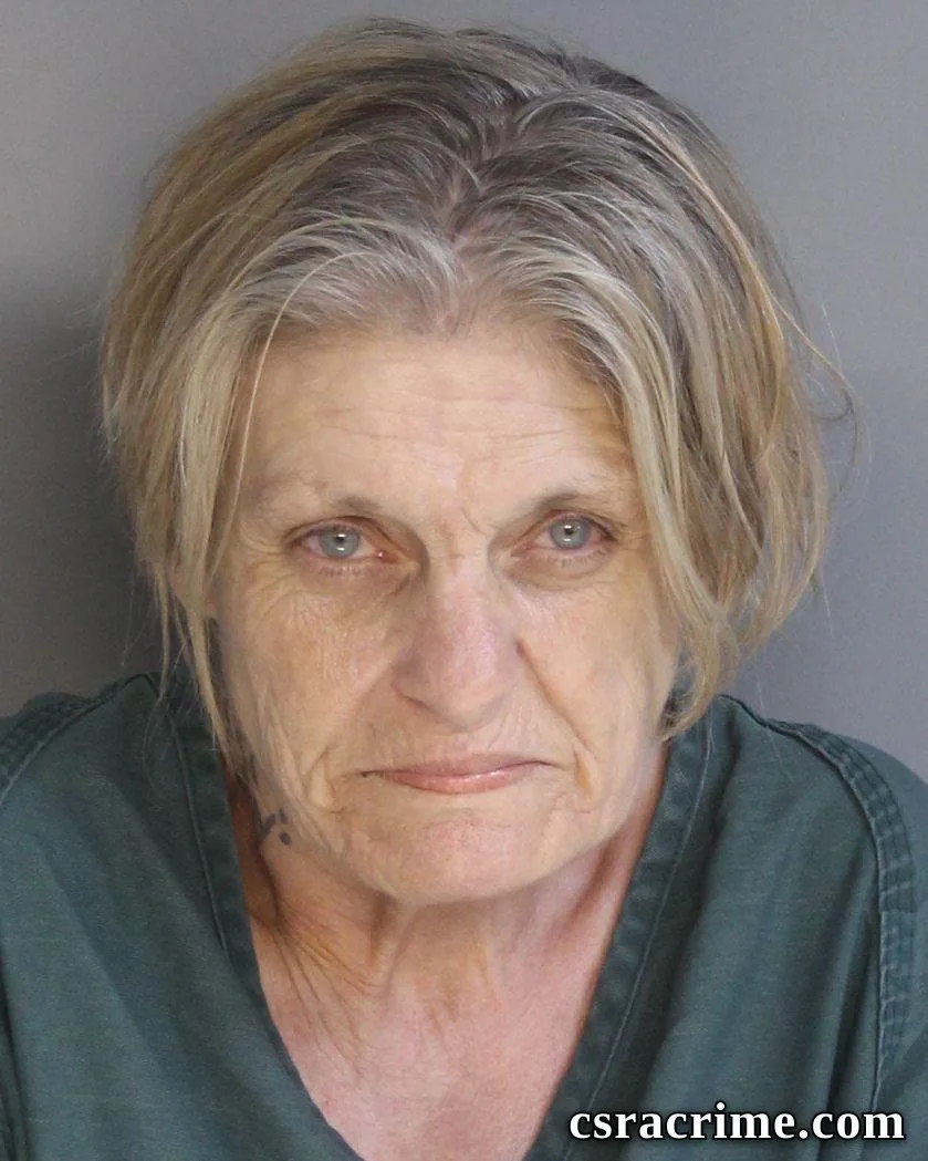 Sarah Plaster booking photo