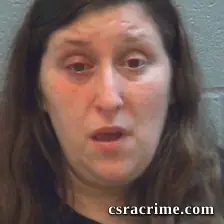 Sarah Shields booking photo
