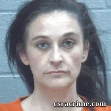 Sarah Vier booking photo