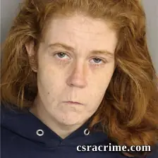 Sarah Wall booking photo