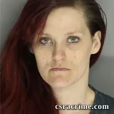Sarah Wheatly booking photo