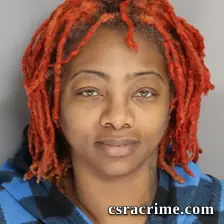 Sarah Williamson booking photo