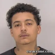 Scott Ray Telgren booking photo