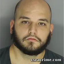 Sean Lanza booking photo