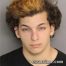Sebastian Griffin booking photo