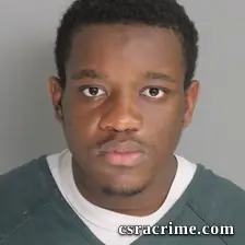 Sebastian Remy booking photo