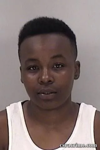 Shabreia Roberts booking photo