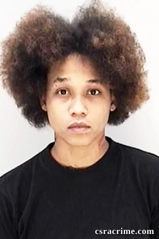 Shadae Hicks booking photo