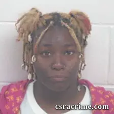 Shakenya Nicole Jordan booking photo