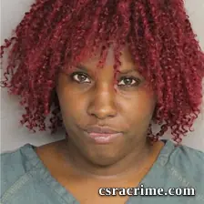 Shalonda Flegler booking photo