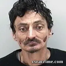 Shane Levy booking photo