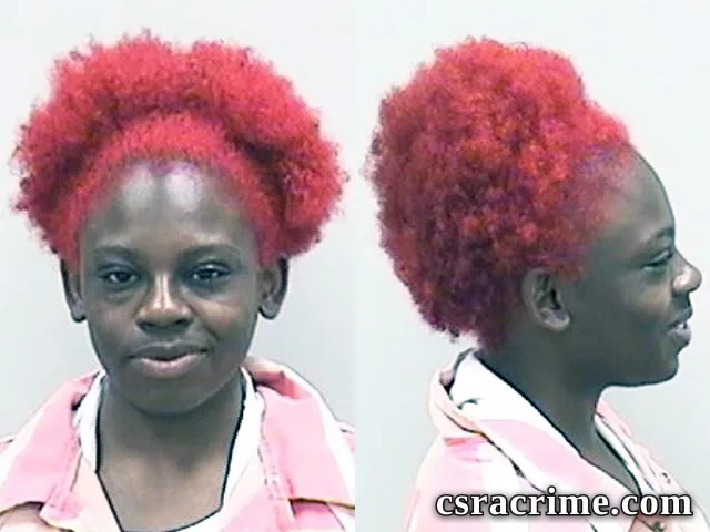 Shaneil Hollins booking photo