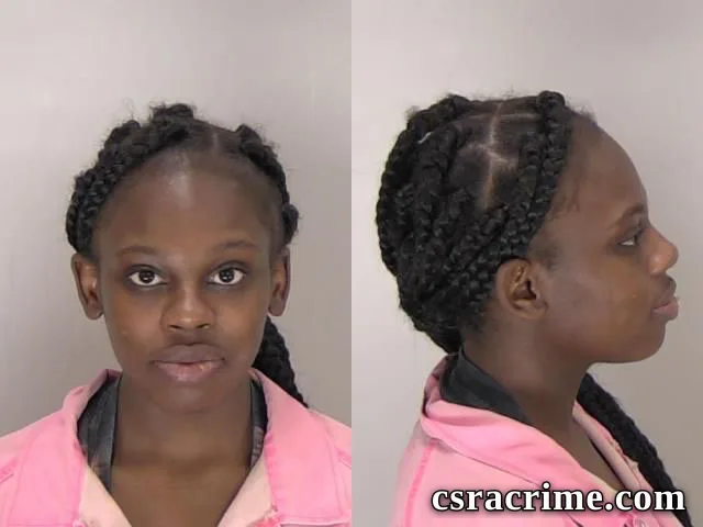 Shaneil Hollins booking photo