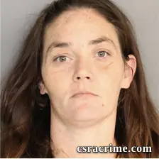 Shannon Burke Rees booking photo