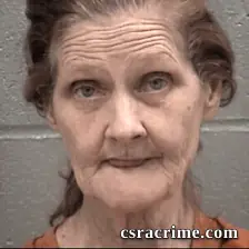 Shannon Pate Wilson booking photo