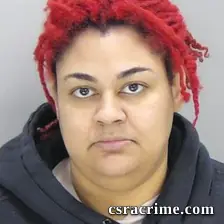 Shannon Santana booking photo