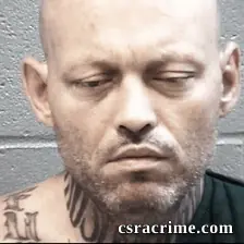 Shannon Stavely booking photo