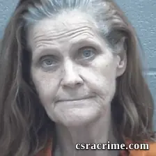 Shannon Wilson booking photo