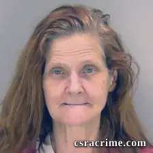 Shannon Wilson booking photo