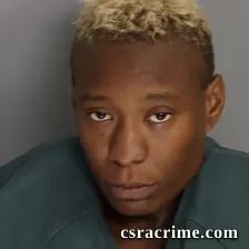 Shaquila Carter booking photo