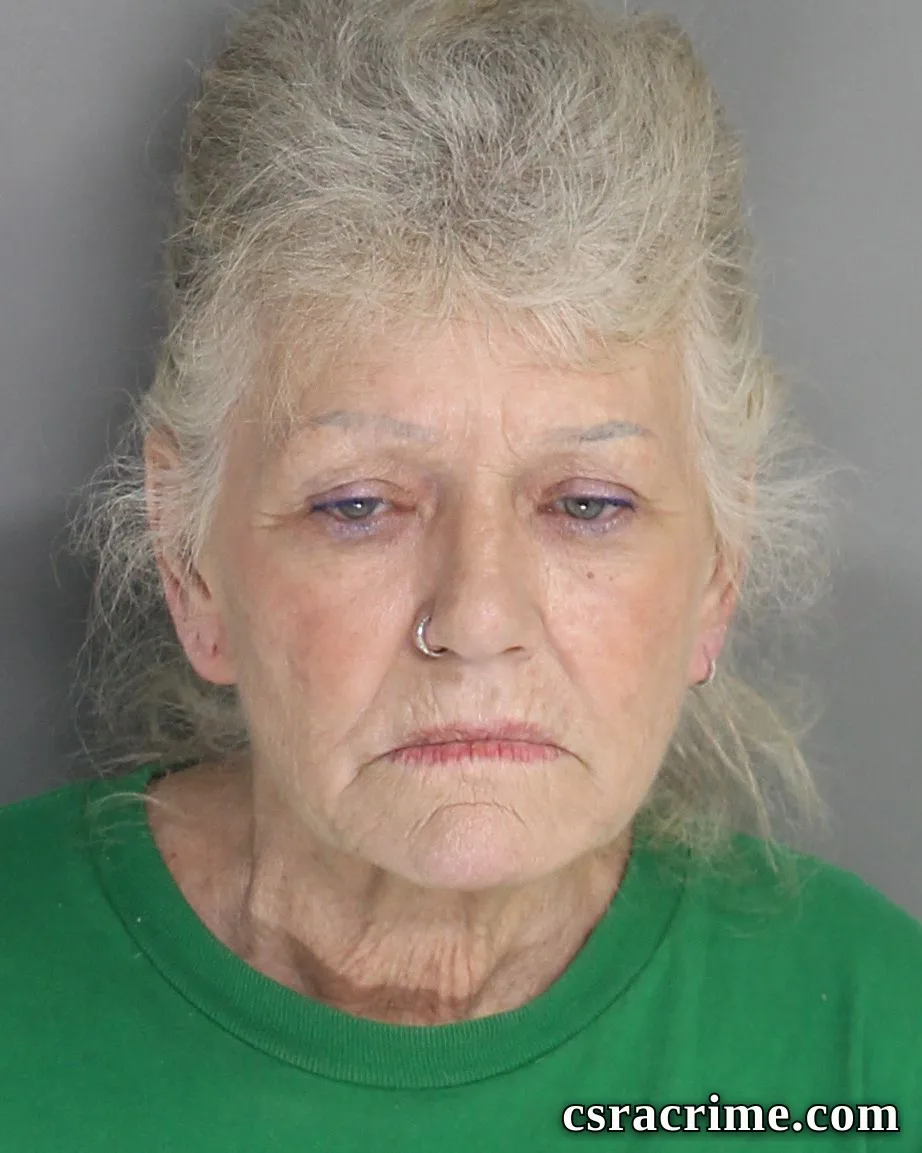Sharilyn Young booking photo