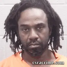 Sharmin Hudson booking photo