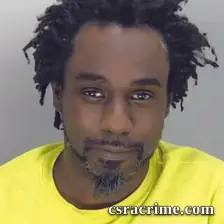 Sharmin Hudson booking photo