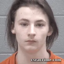 Shaun Lewis booking photo
