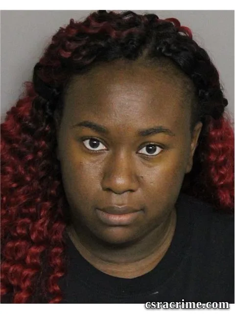 Shaundra Mims booking photo