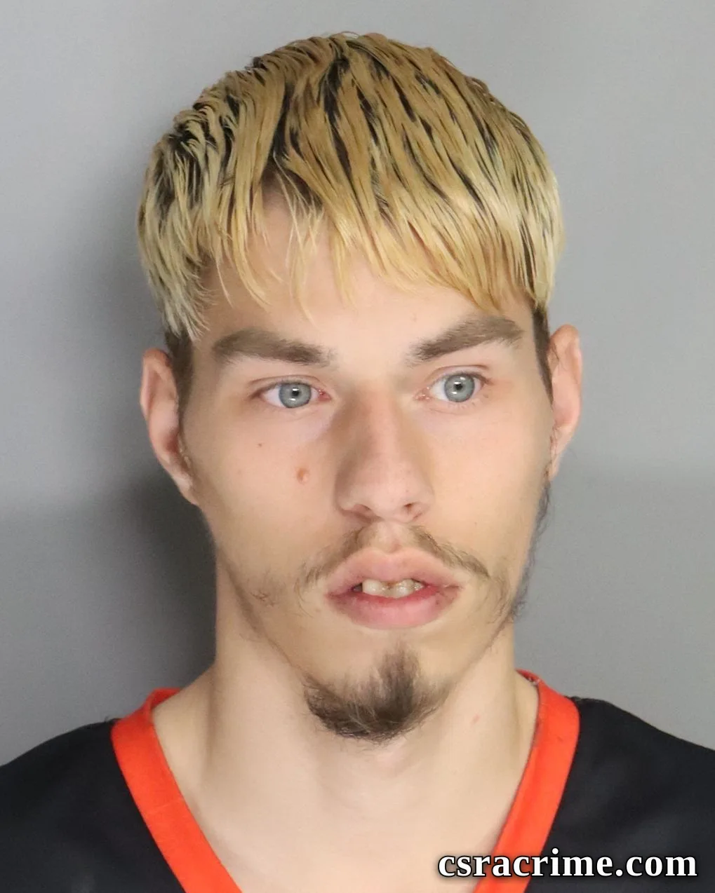 Shawn Ogden booking photo