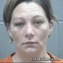 Sheila Bailey booking photo