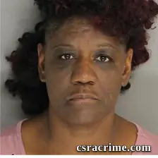 Sheila Toole Hinson booking photo