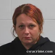 Shelley Lynn Wilhoit booking photo