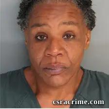 Shelly Holloway booking photo
