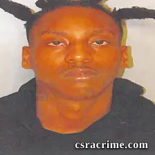 Shelsea Williams booking photo