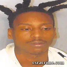 Shelsea Williams booking photo
