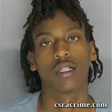 Shelsea Williams JR booking photo