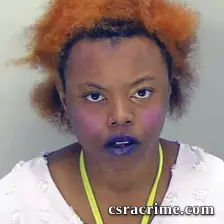 Sheneena Evans booking photo